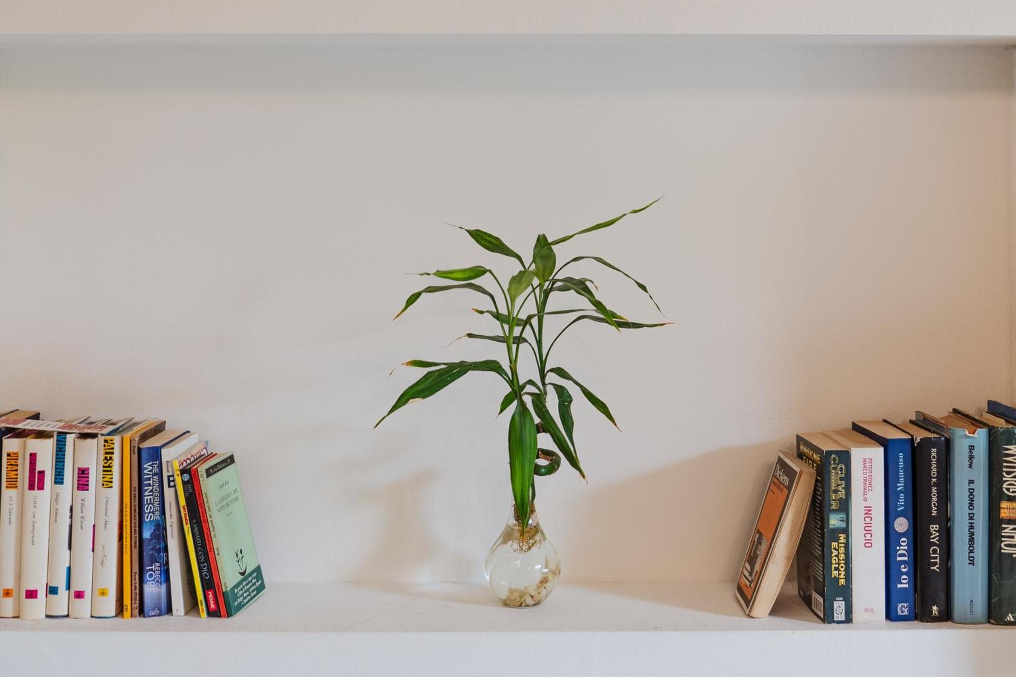 Bed and Breakfast Bed And Books CTA Exterior foto